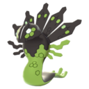 Artwork Zygarde